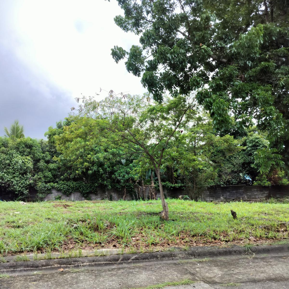 LOT FOR SALE IN MISSION HILLS, HAVILA, ANTIPOLO